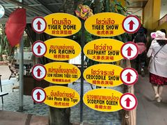-是拉差龙虎园(Permanently closed)