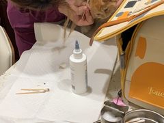 -宠爱国际动物医院·疑难骨科·心肾内科·皮肤科(太阳宫店)