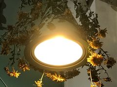 -ZooYoo佐佑咖啡(鼓楼店)