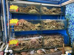 水产区-蚝专家(北滘店)