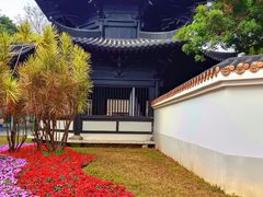 -荔湾湖公园