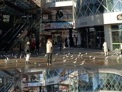 -中粮·祥云小镇