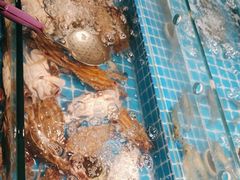 -甄品麦哲伦海鲜和牛自助(万达广场店)