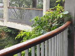 -东钱湖旅游度假区