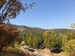 -北京西山国家森林公园