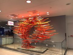 -约翰·菲茨杰拉德·肯尼迪国际机场