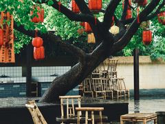 -同里国家湿地公园
