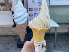 -广州素食学校·素猫豆腐(长洲码头店)