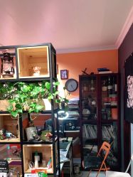 -众刺纹画·纹身·穿孔饰品·海娜定制