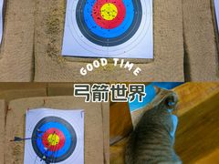 -蓝天射箭馆·专业射箭运动(诚丰广场店)