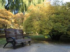-辽宁大学(崇山校区)