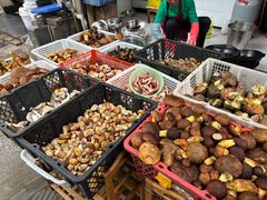 -草墩罗非鱼庄•野生菌•腊排骨(七星街上段店)