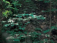 -香山公园