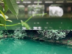 -杭州少年儿童公园