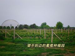 -圣露庄园·露营·烤肉·亲子