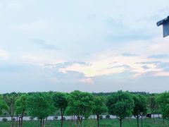 -南湖湿地公园
