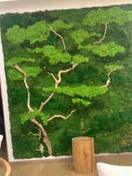 -POCO宝珂丽科技美肤