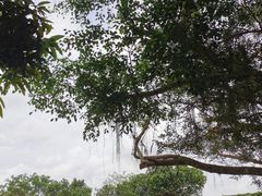 -侯臣咖啡文化村