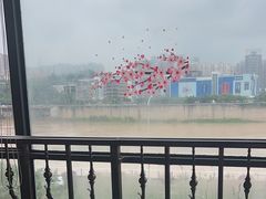 -李子坝梁山鸡(李子坝大鸡哥店)