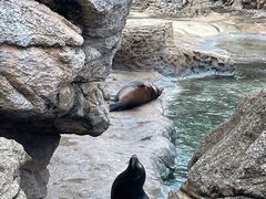 -珠海长隆海洋王国