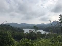-东部华侨城