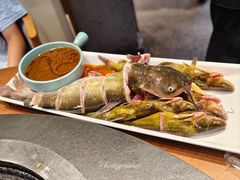 鮰鱼锅-蘸小院铁锅炖·蘸酱菜·东北菜(怀远门店)