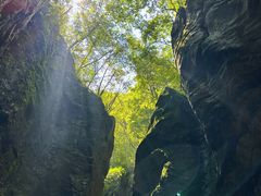 -牛背梁国家森林公园