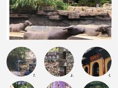 -宝岩生态观光园