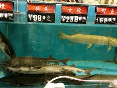 -金鹰超市(国际购物中心新街口店)
