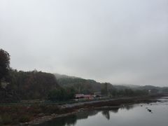 -望天鹅景区