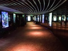 -上海金逸影城(静安大悦城店（原新恒星影城）)