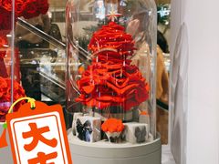 -ROSEONLY诺誓(国际广场购物中心店)