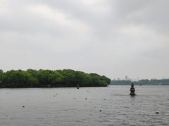 -西湖外事游船(花港观鱼码头)