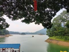 -广州市流溪河国家森林公园