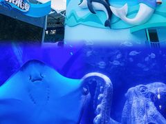 -广州海洋馆