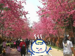 -洛龙公园