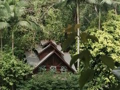 -野象谷景区