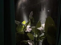 -涟LIAN·泰式按摩·MASSAGE·SPA(华强北店)