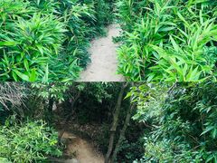 -白马涧龙池景区