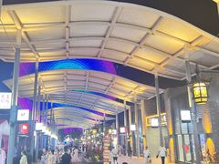 -三亚海昌梦幻海洋不夜城