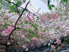 -深圳国际园林花卉博览园