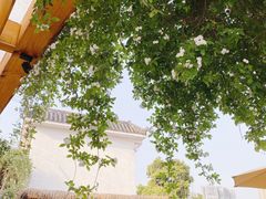 -悦哉·派对·草坪婚礼·围炉煮茶(三圣乡店)