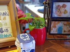 -狐狸家·酸奶酪专门店(平江路店)