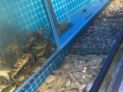 -海天盛宴潮汕蒸汽海鲜高端自助形象店