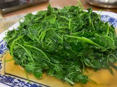 酒香草头-洞天食府(北大街店)