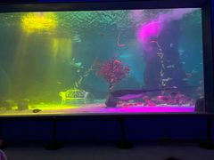 -常州海昌海洋探索馆