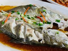 -江南村海鲜馆(洞头店)