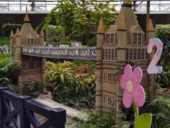 -南宫五洲植物乐园