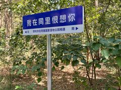-同里国家湿地公园