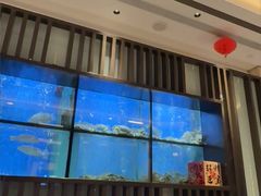 -珍宝海鲜JUMBO Seafood(尚嘉店)